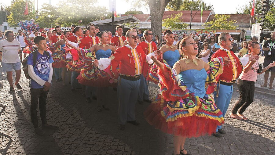 Feira da Luz em Carnide
